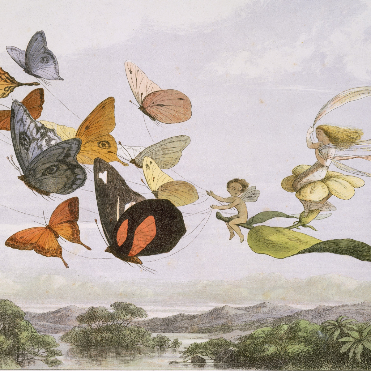 Faeries on a flower and leaf being pulled by butterflies.