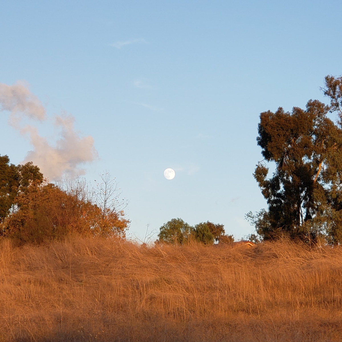 A photo of the moon rising in the afternoon.